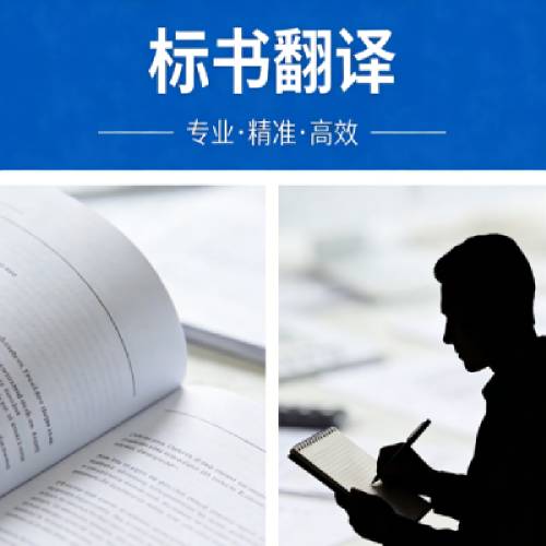 翻译专题 - 标书翻译
